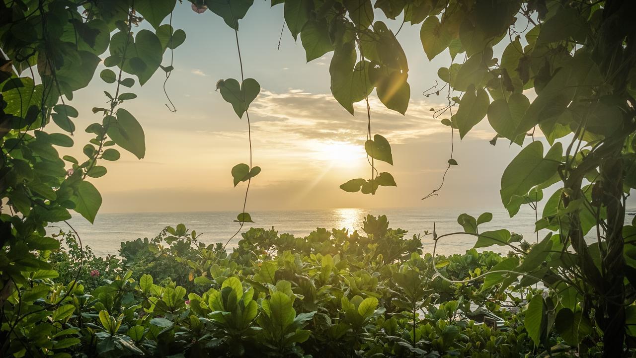 Bay Vista Hotel Arugam Bay Bilik gambar